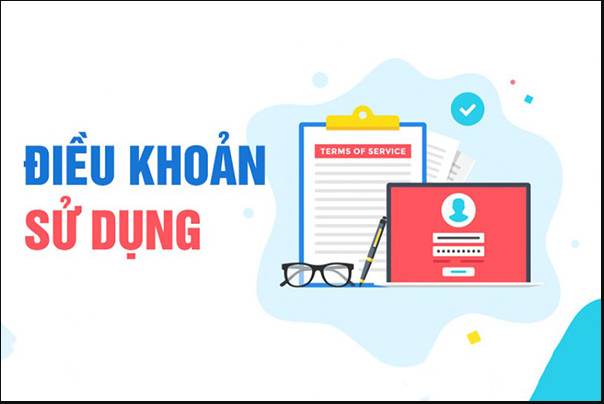 Trách nhiệm và dịch vụ của trang web